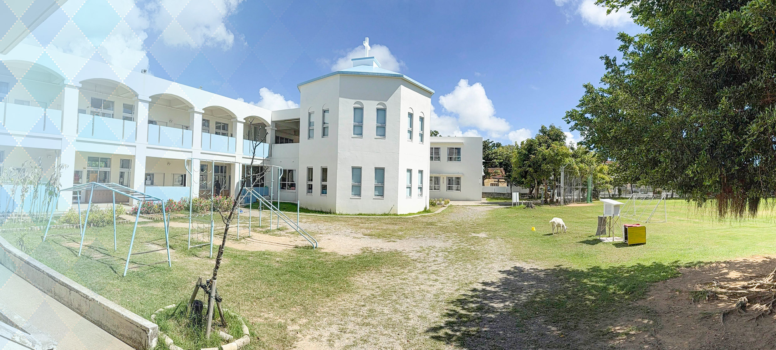 海星小学校の様子